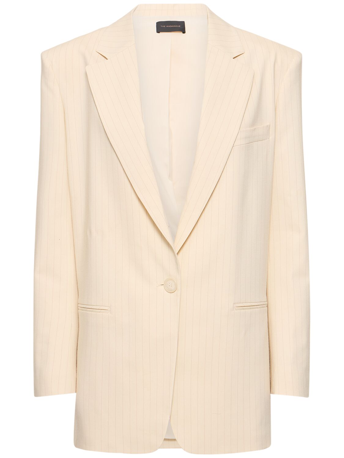 The Andamane Guia Oversized Pinstriped Blazer In Multicolor