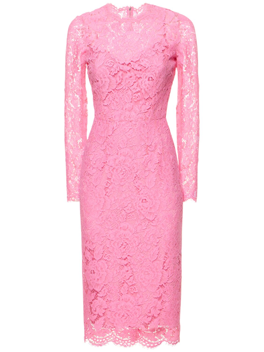 Shop Dolce & Gabbana Floral & Dg Stretch Lace Midi Dress In Pink