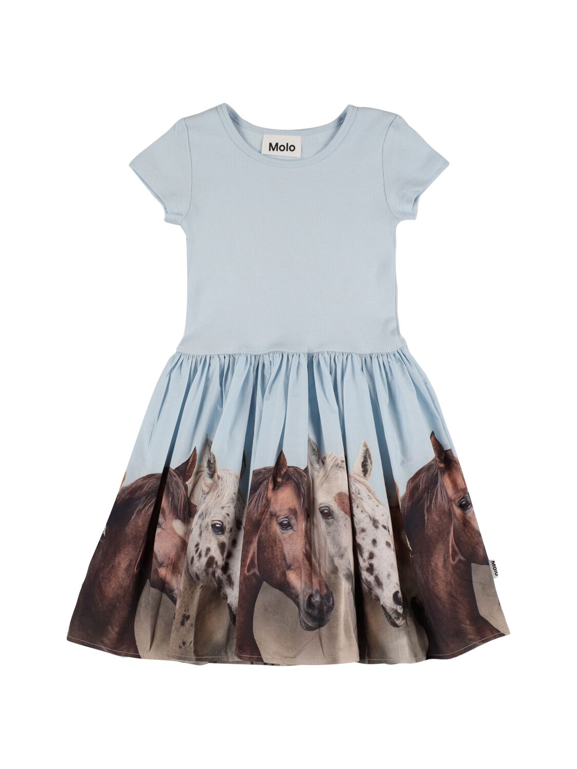 Molo Kids' Horse Print Cotton Blend Dress In Light Blue
