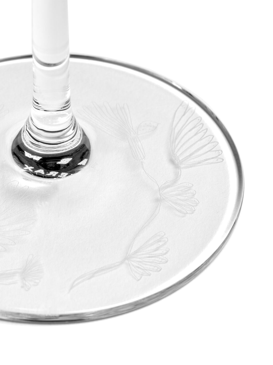 Marni By Serax Camelia Aubergine Set Of 4 Glasses In Transparent