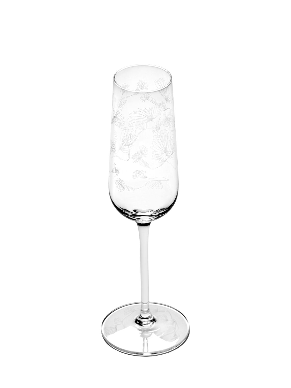 Shop Marni By Serax Camelia Aubergine Set Of 4 Glasses In Transparent