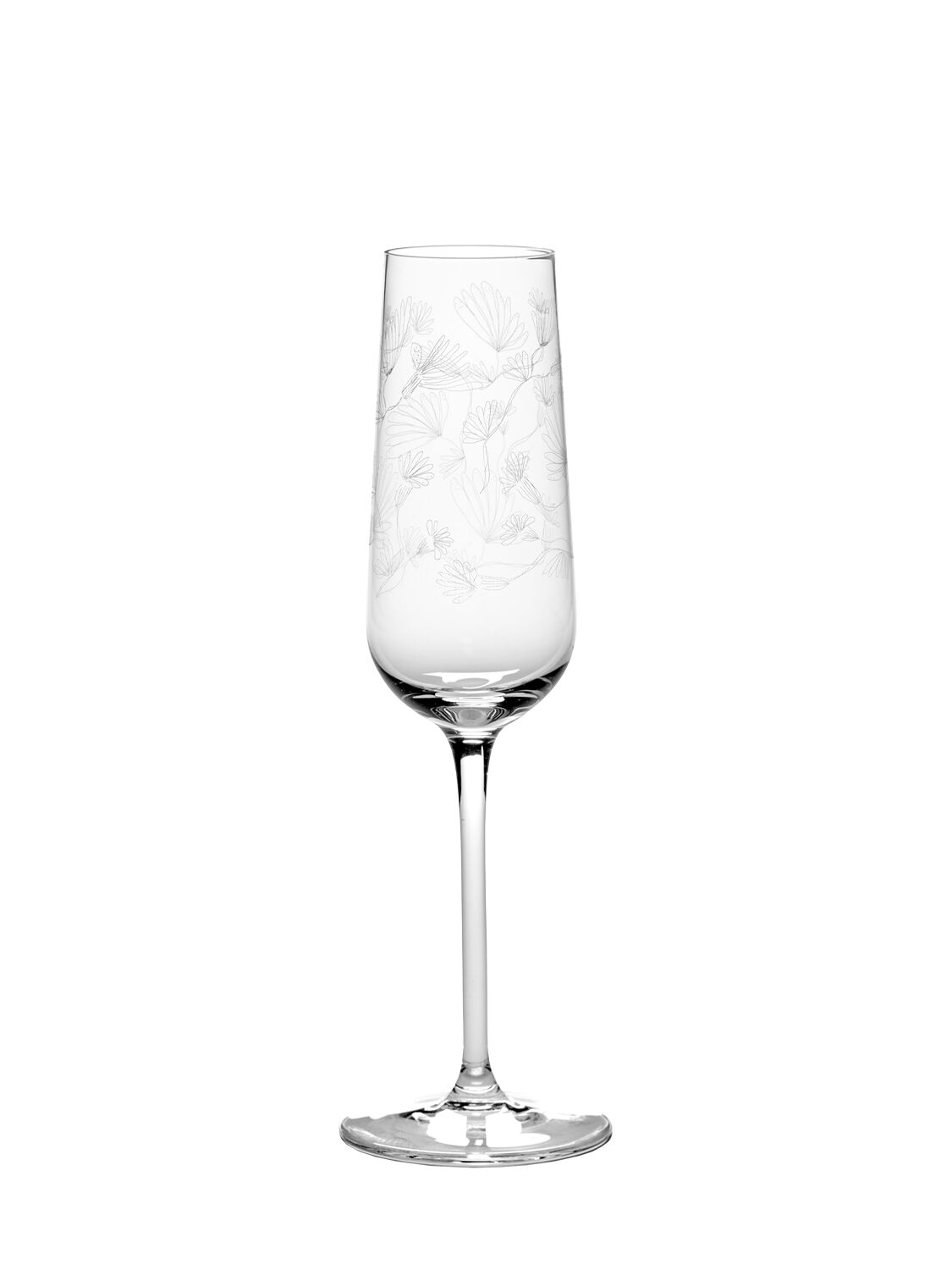 Marni By Serax Camelia Aubergine Set Of 4 Glasses In Transparent