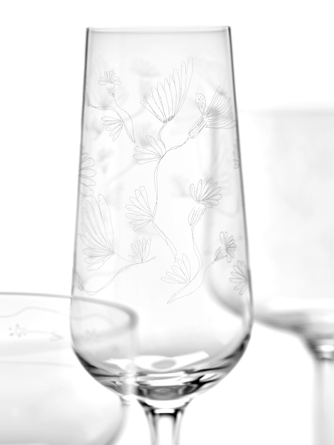 Marni By Serax Camelia Aubergine Set Of 4 Glasses In Transparent