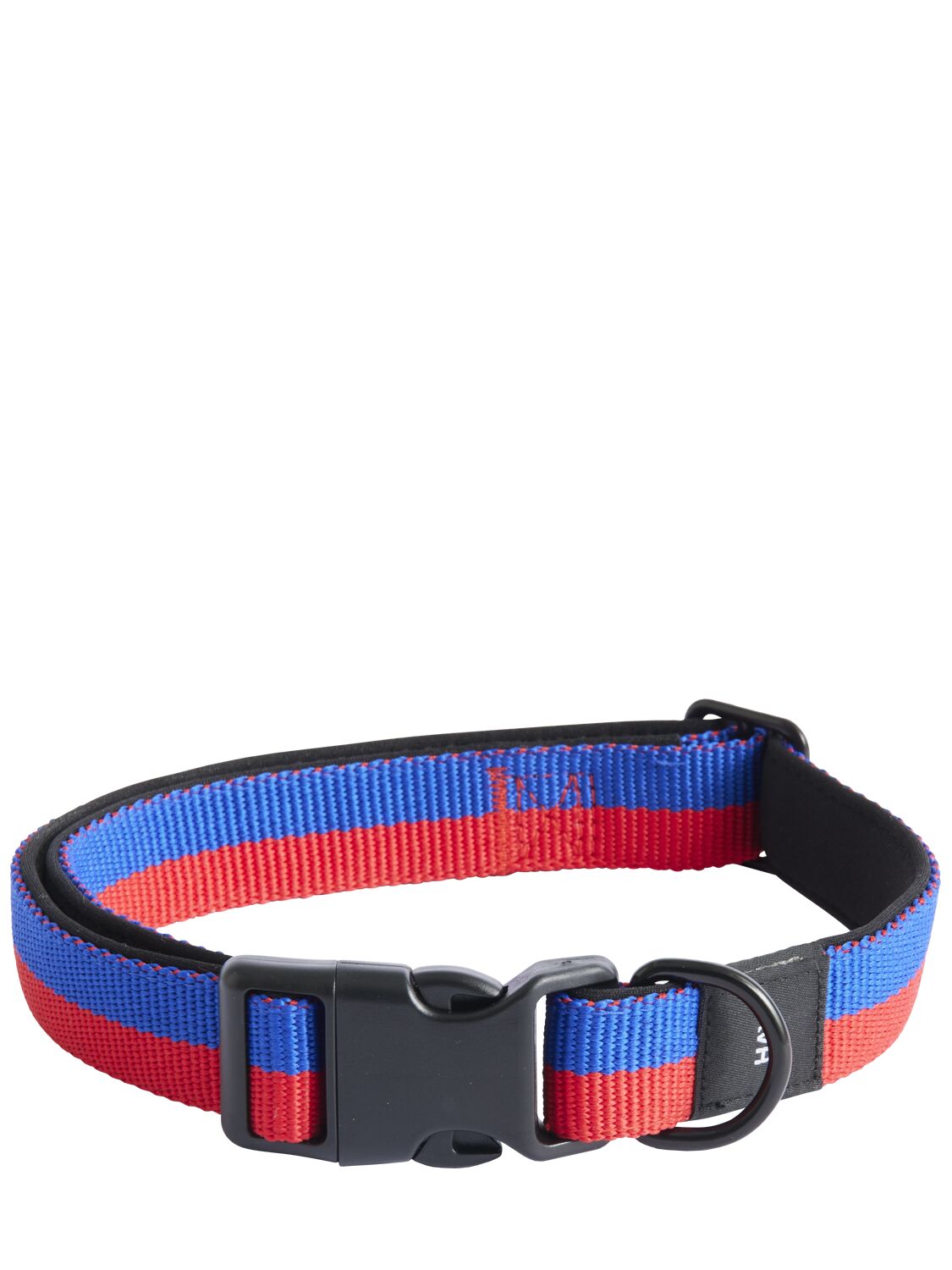 Hay M/l Flat Dog Collar In Multicolor