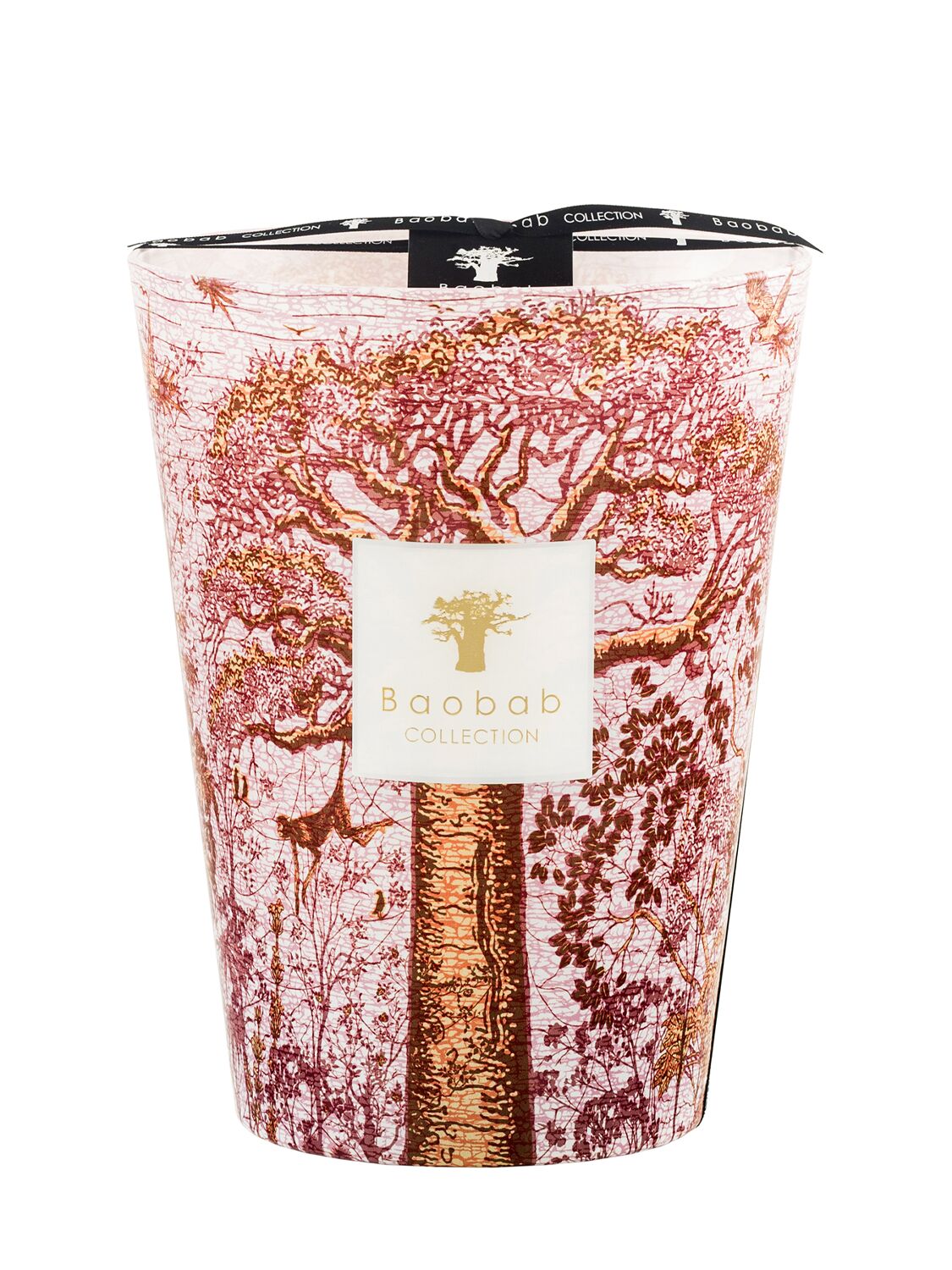 Baobab Collection Woroba Max 24 Candle In Pink