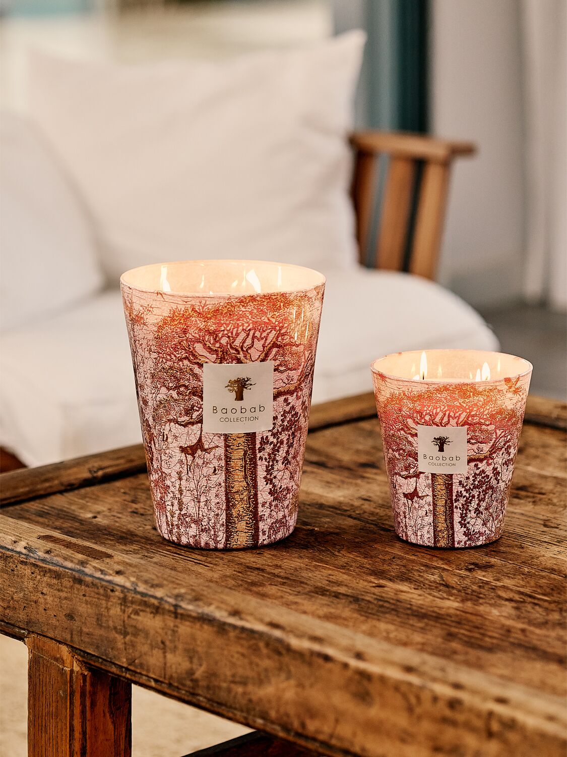Shop Baobab Collection Woroba Max 16 Candle In Pink