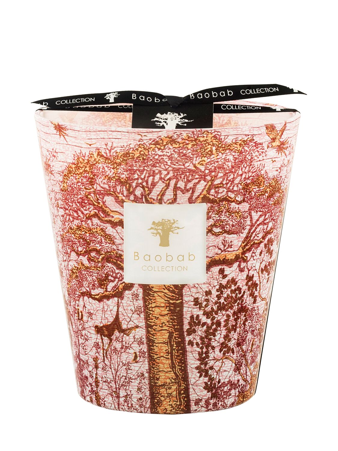 Baobab Collection Woroba Max 16 Candle In Pink