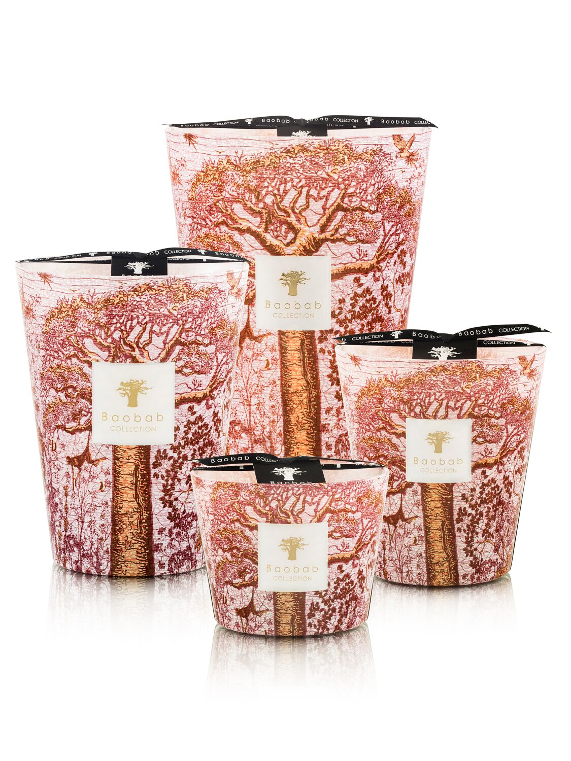 Shop Baobab Collection Woroba Max 16 Candle In Pink