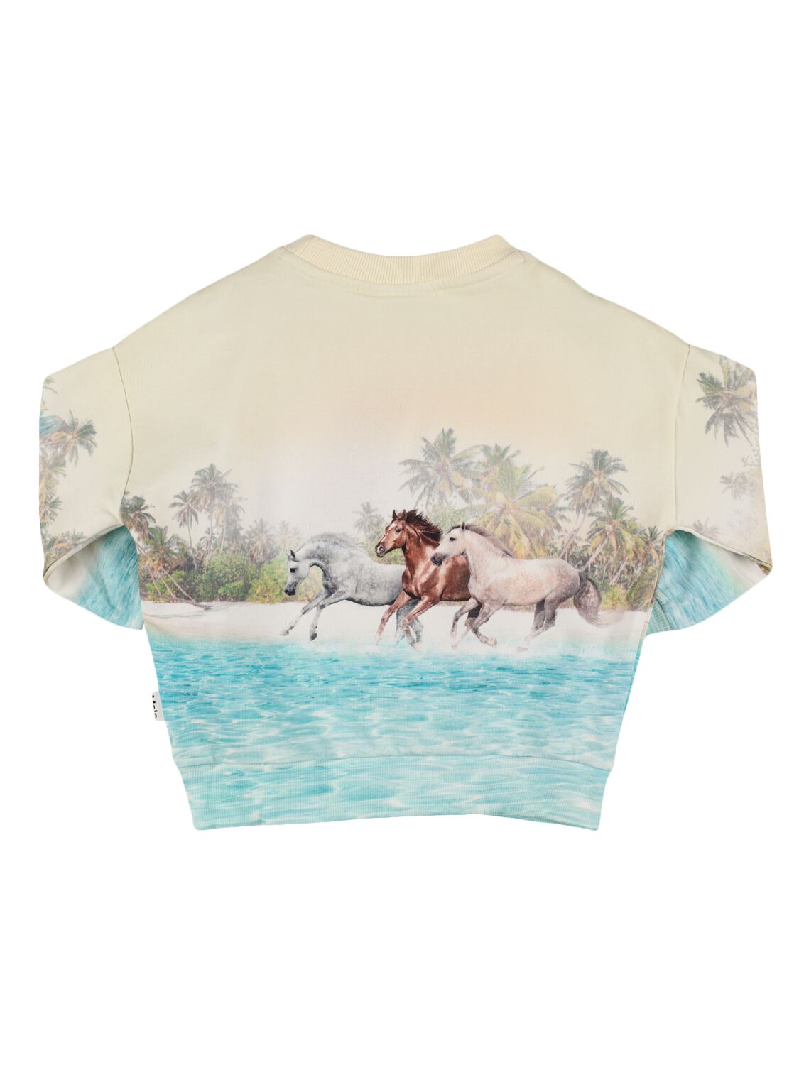 Shop Molo Horse Print Organic Cotton Sweatshirt In Multicolor