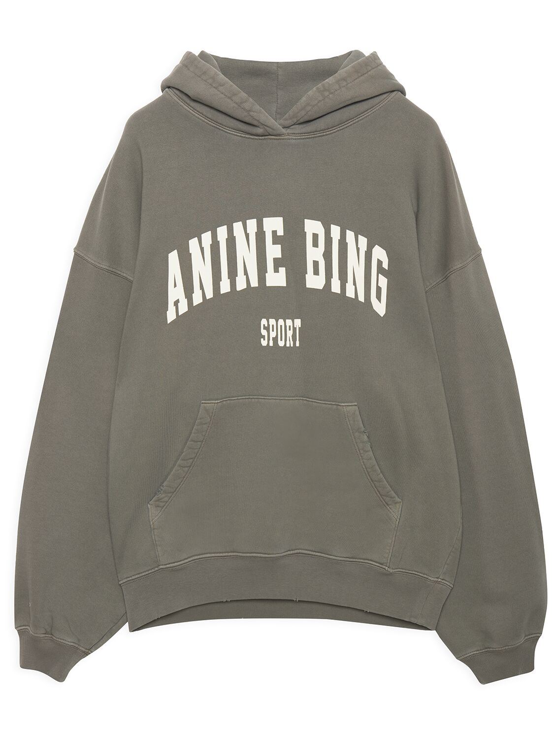 Shop Anine Bing Harvey Logo Hooded Cotton Sweatshirt In Green