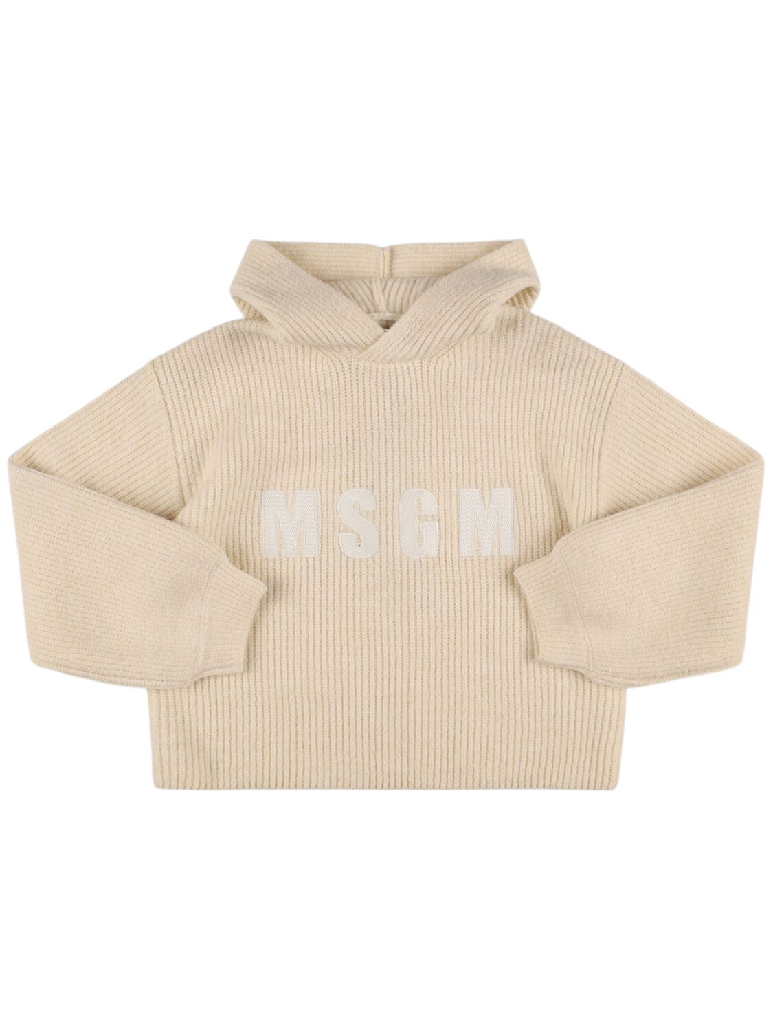 Msgm Wool Blend Knit Hooded Sweater In Neutral