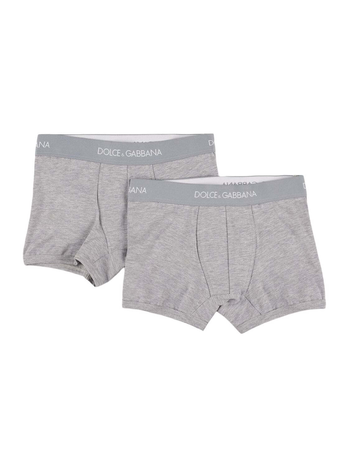 Dolce & Gabbana Set Of 2 Logo Cotton Boxer Briefs In Gray