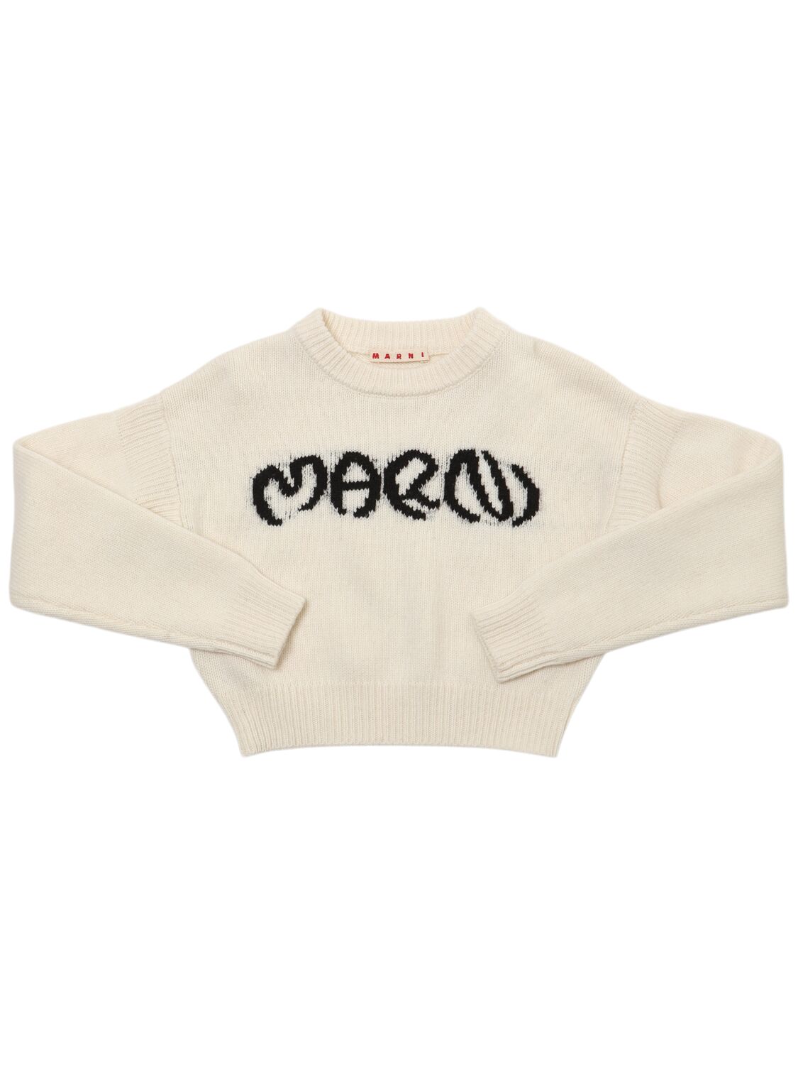 Marni Junior Wool Blend Knit Logo Sweater In White