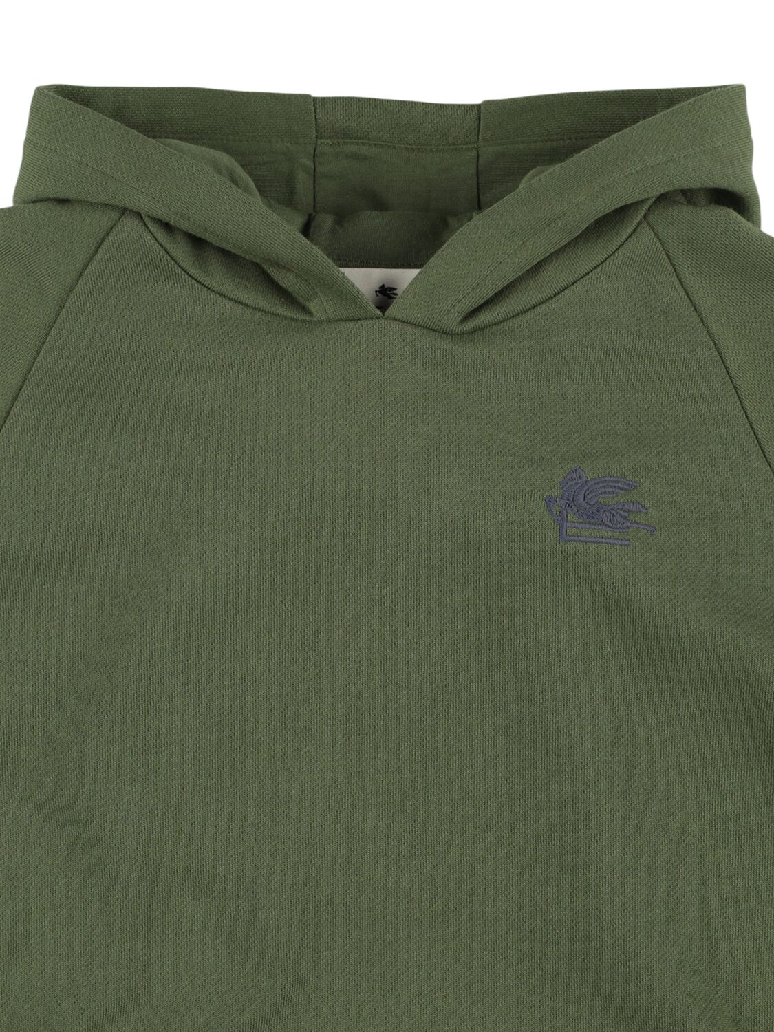 Shop Etro Embroidered Cotton Jersey Hoodie In Green