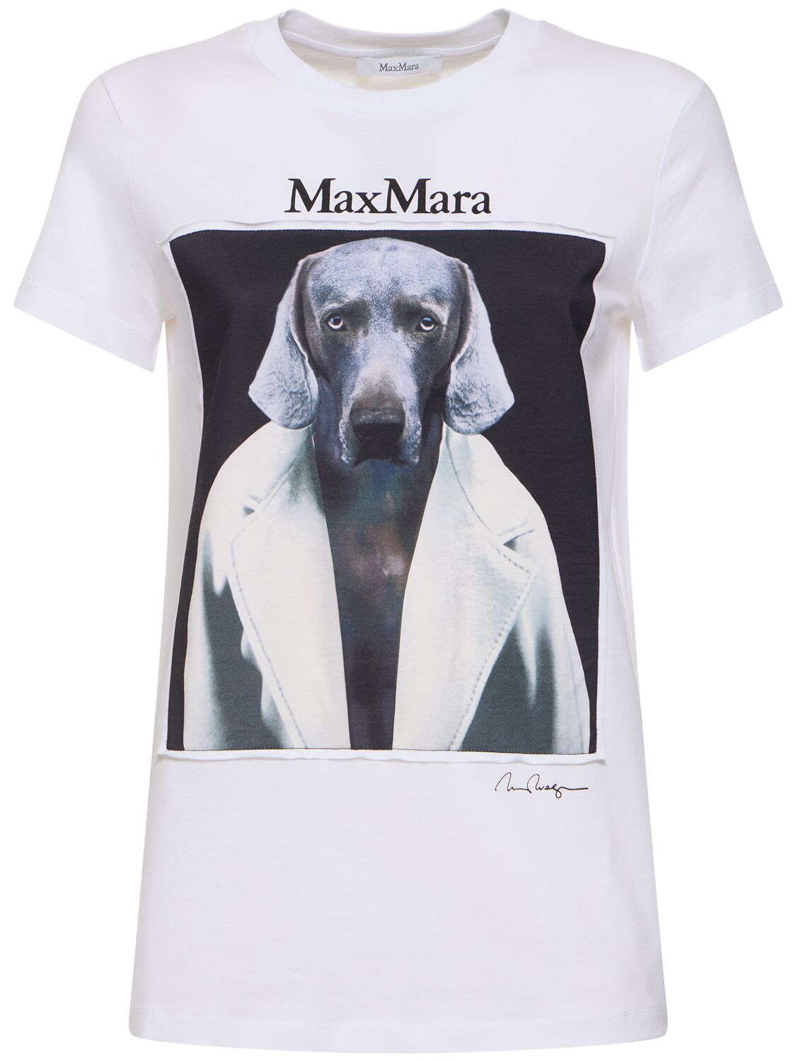 Shop Max Mara Cipria Printed Jersey T-shirt In White