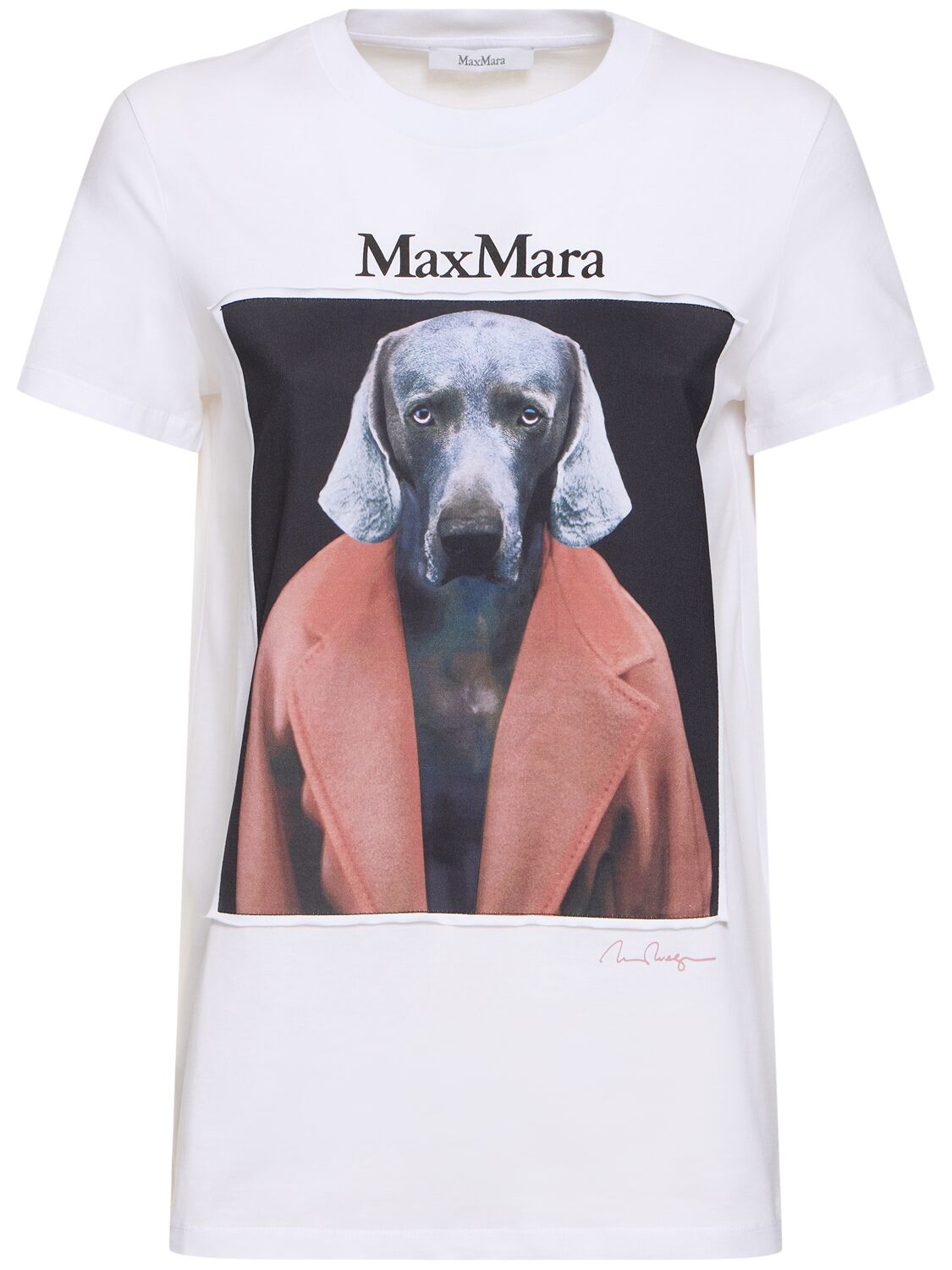 Shop Max Mara Cipria Printed Jersey T-shirt In White/pink