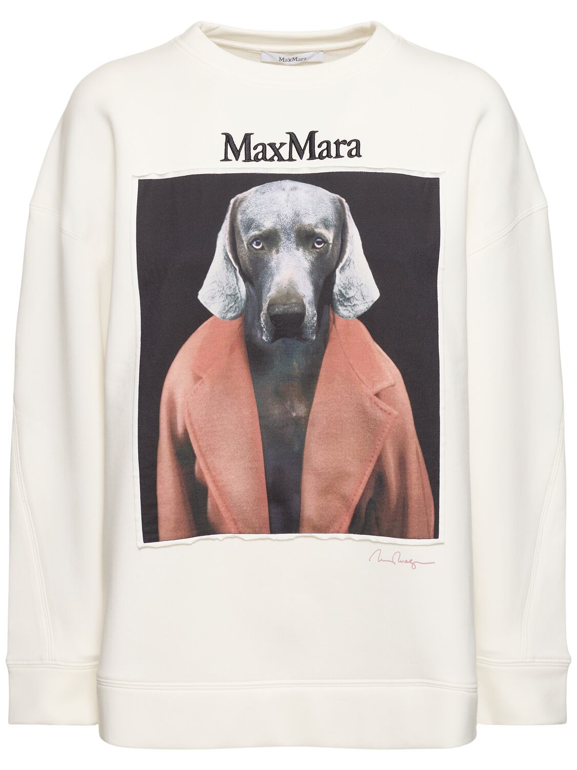 Shop Max Mara Bacco Printed Cotton Jersey Sweatshirt In Ivory/pink