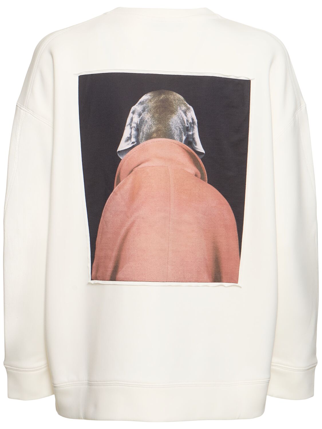 Shop Max Mara Bacco Printed Cotton Jersey Sweatshirt In Ivory/pink