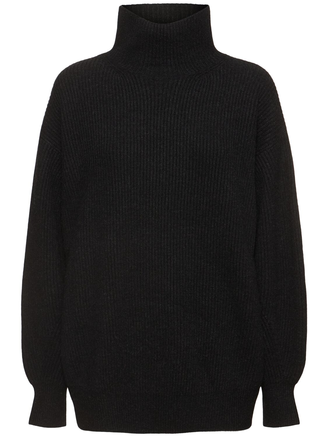 Sportmax Veliero Rib Knit Turtleneck Long Sweater In Black