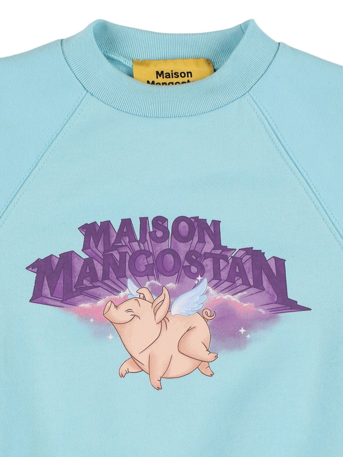 Shop Maison Mangostan Printed Cotton Crewneck Sweatshirt In Light Blue