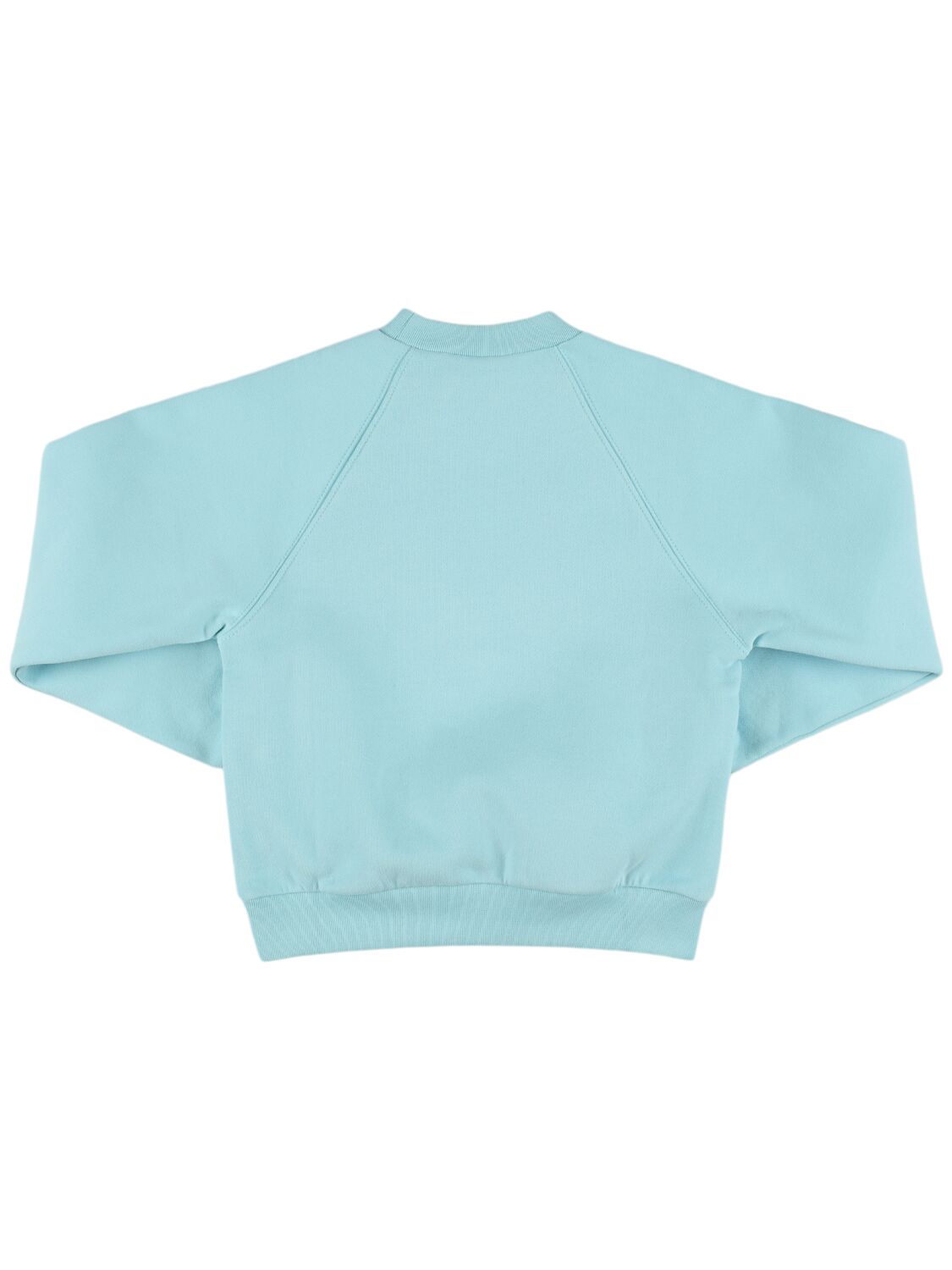 Shop Maison Mangostan Printed Cotton Crewneck Sweatshirt In Light Blue