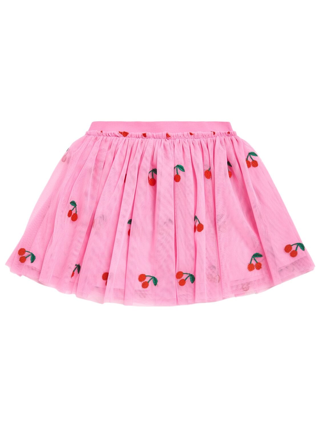 Embroidered Tulle Skirt