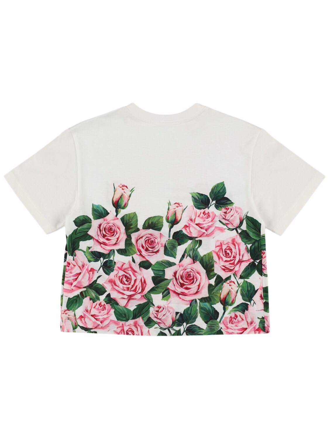 Dolce & Gabbana Printed Cotton Jersey T-shirt In 白色/多色
