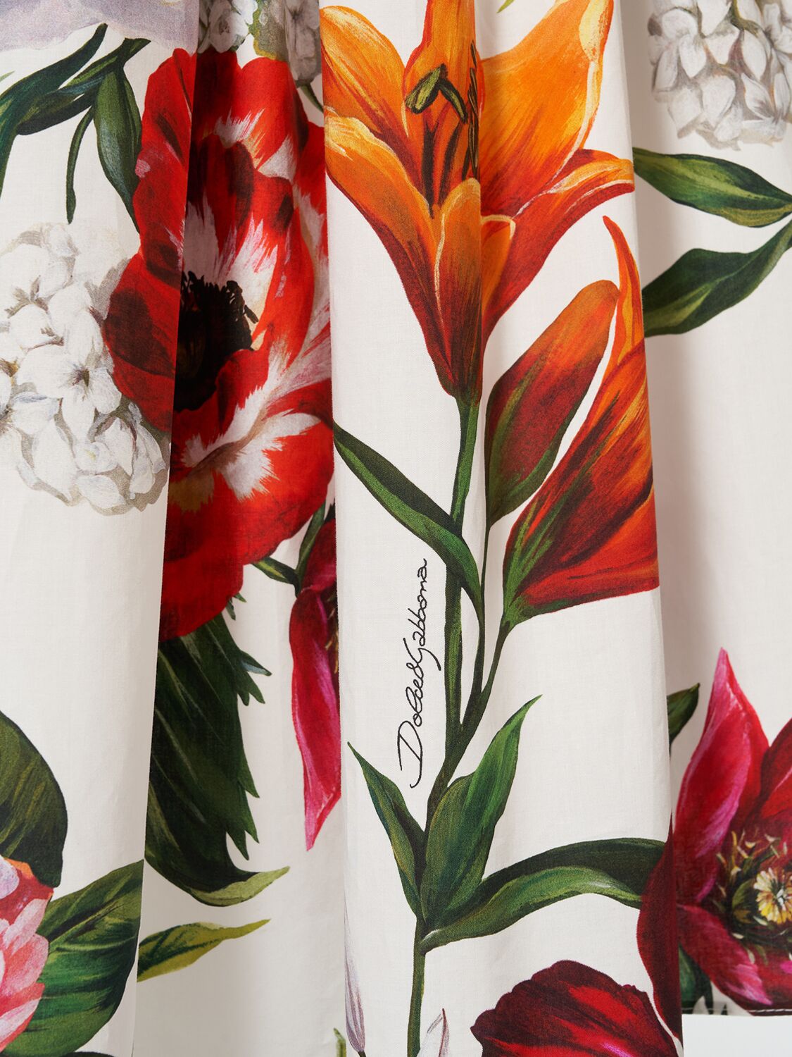 Dolce & Gabbana Women Midi Dress With Red Roses On A White Background In Multi