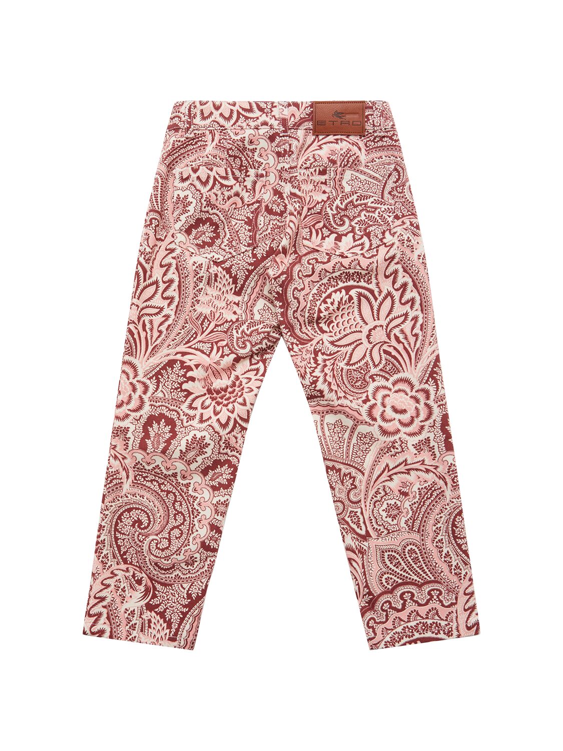Etro Printed Cotton Blend Pants In Multi