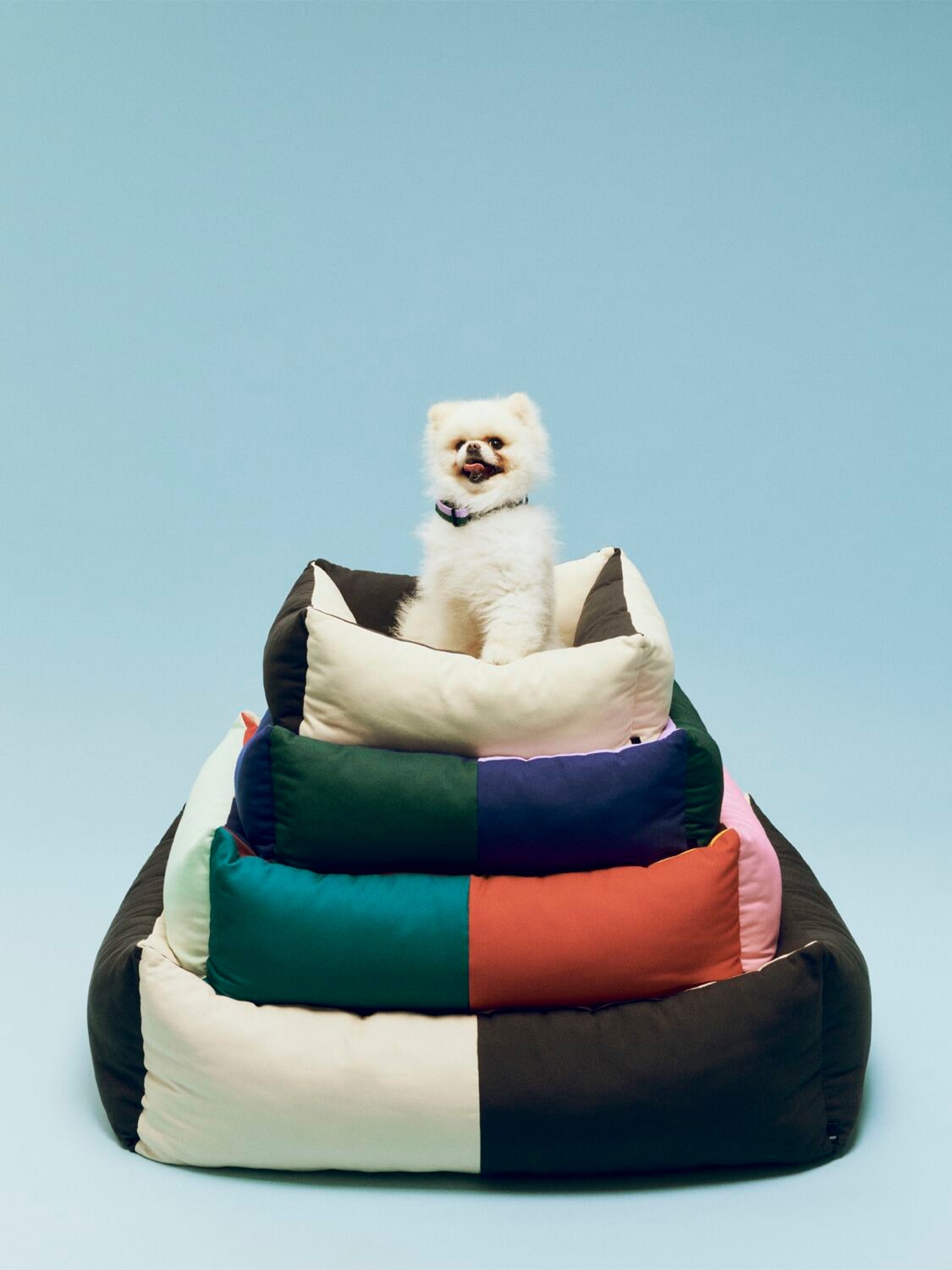 北欧的 カラフルなドッグベッド HAY DOGS COLLECTION