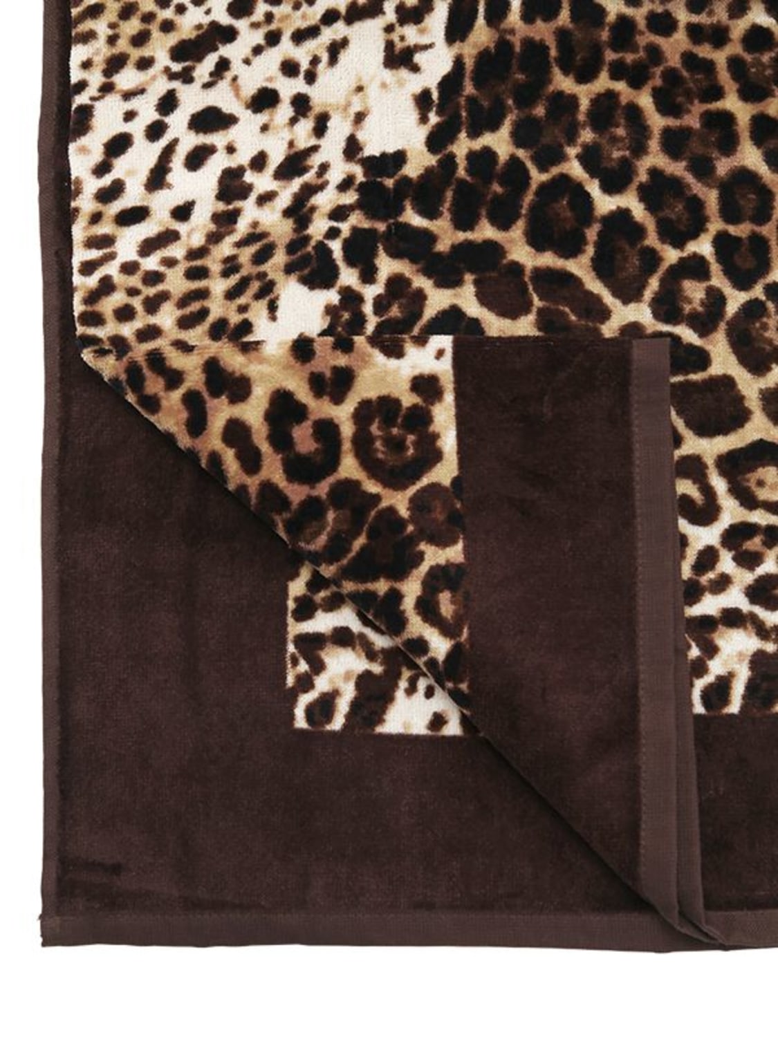 Shop Roberto Cavalli Bravo Cotton Beach Towel In Brown