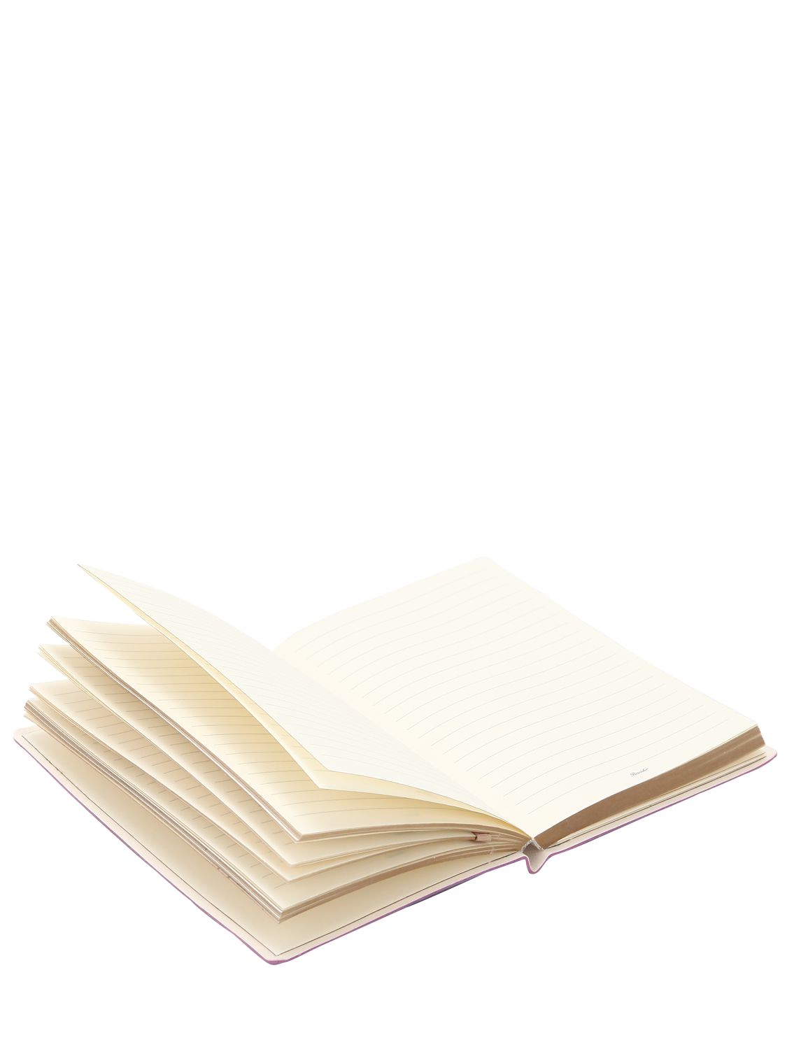 Pineider Eden By Sara Ricciardi Notebook In Multicolor