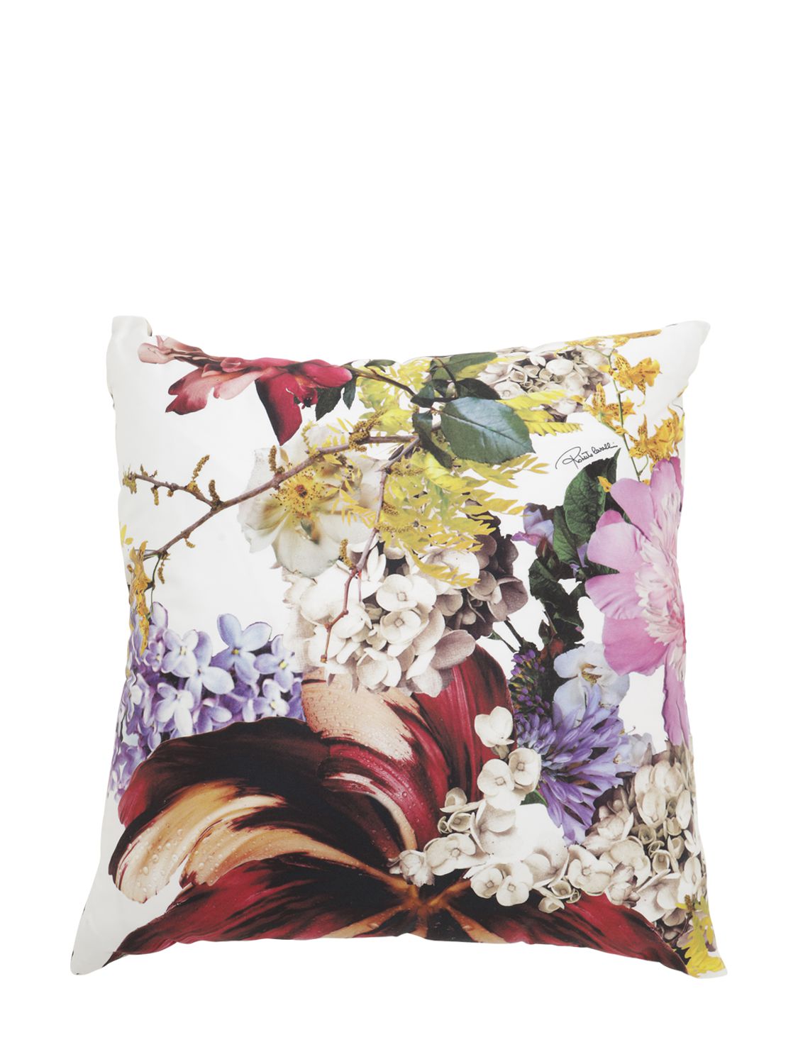 Roberto Cavalli Floris Printed Cotton Cushion In White/red