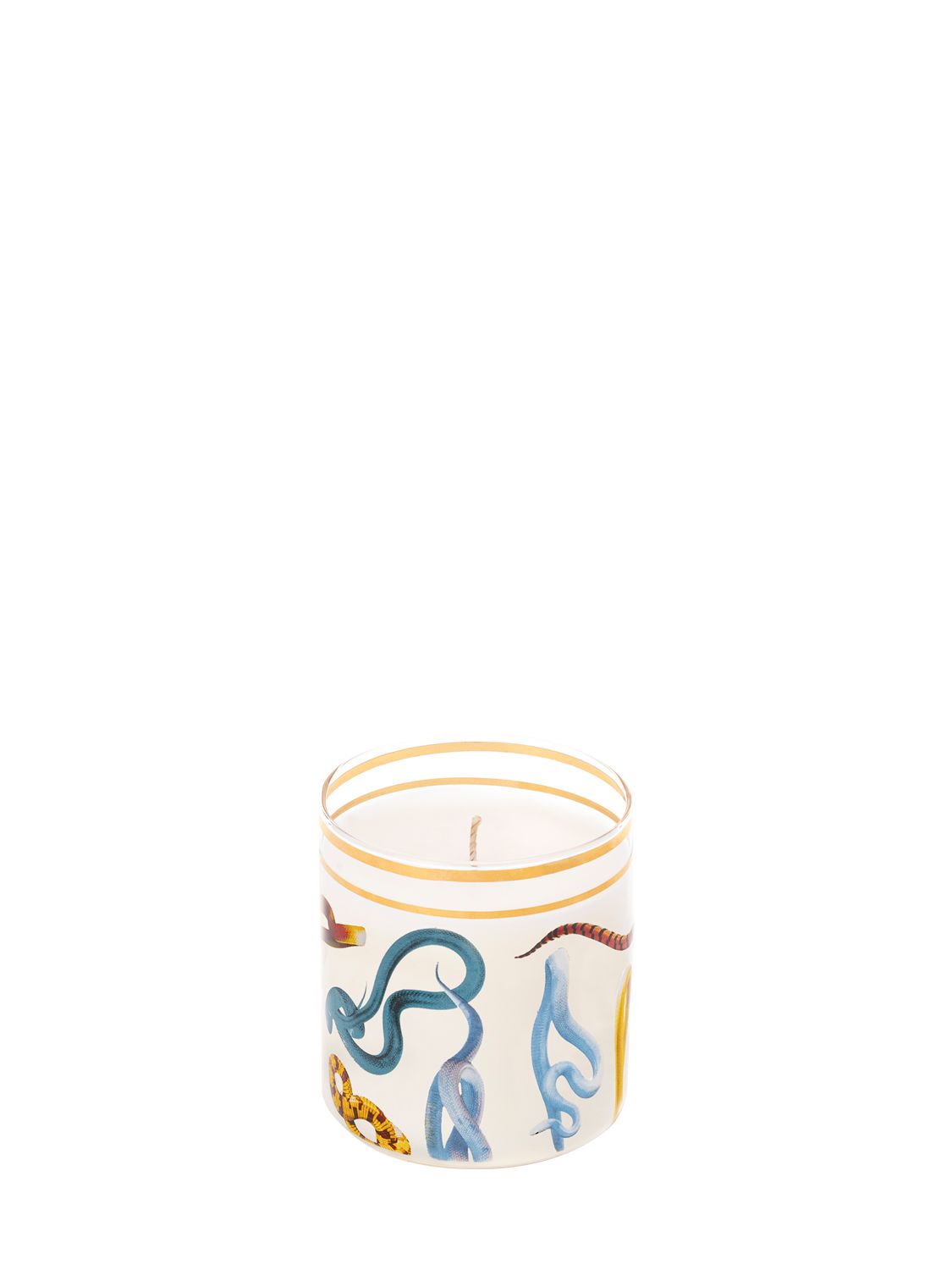 Seletti Snakes Scented Candle In Transparent