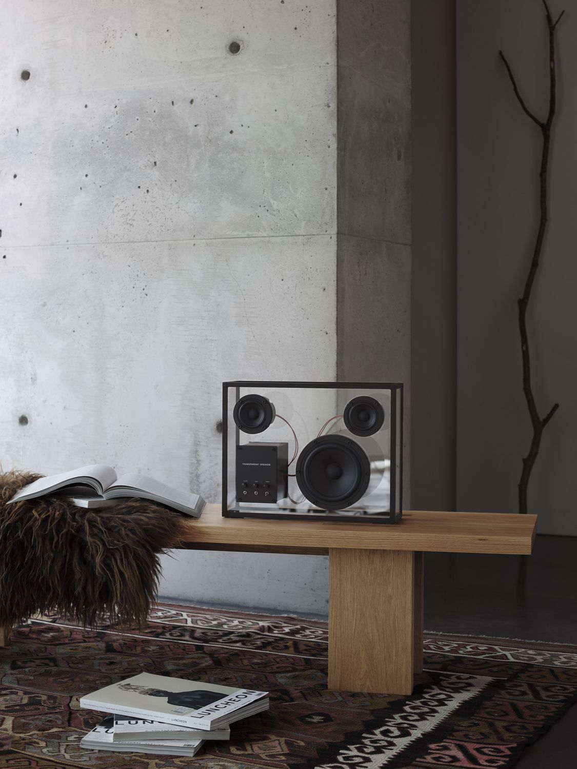 Transparent Speaker