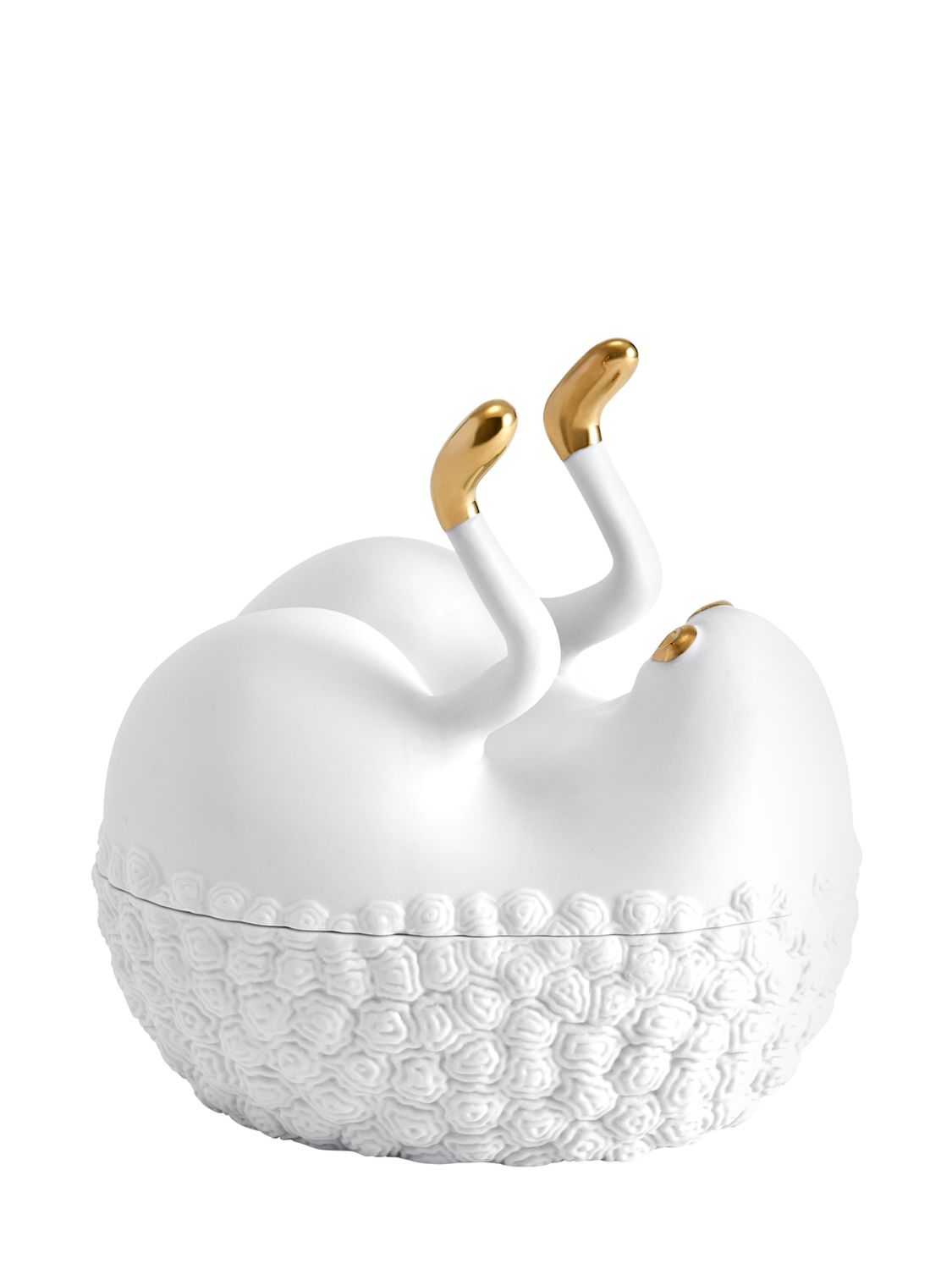L'objet Haas Butts Up Box In White/gold