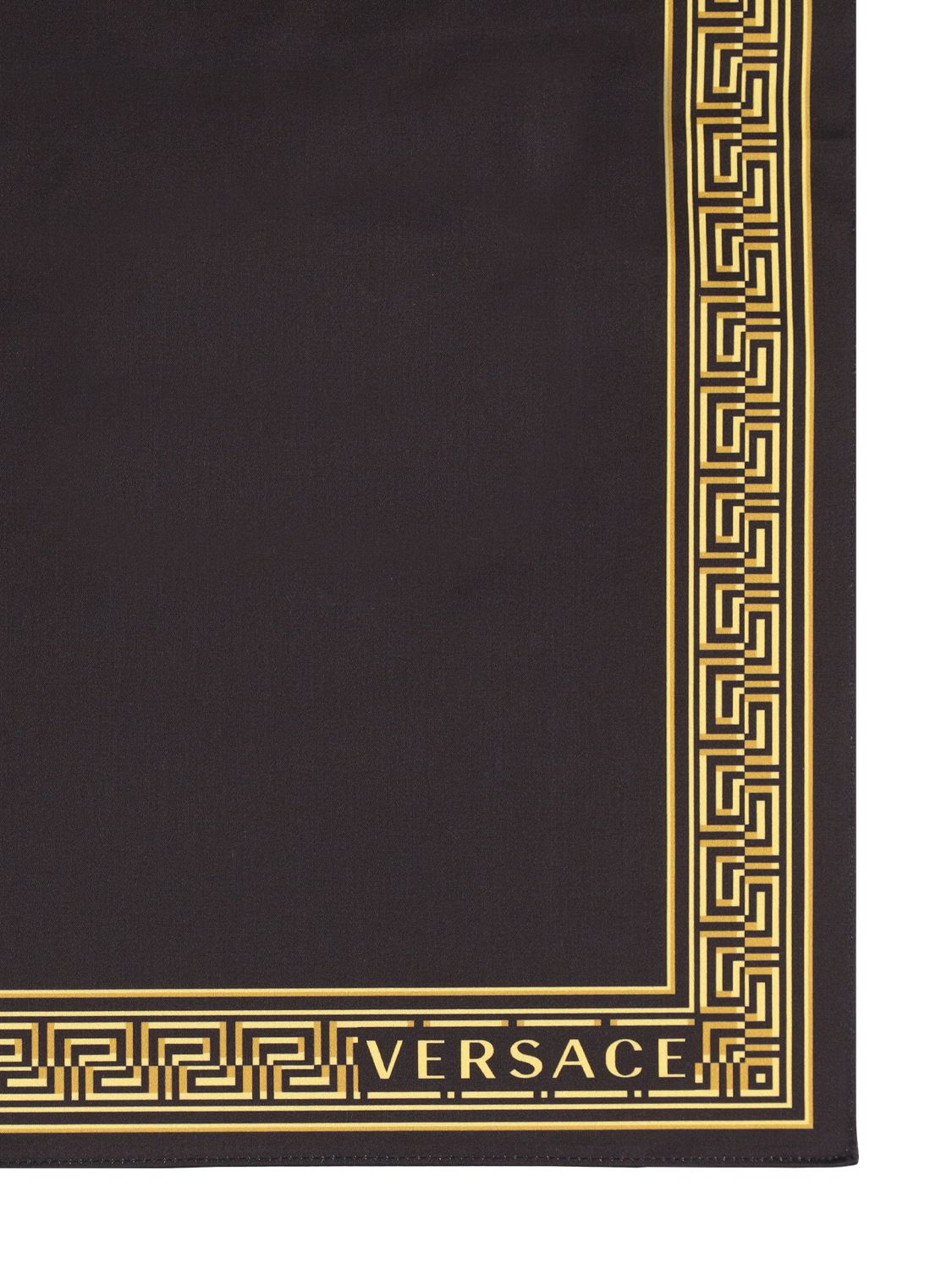Versace Set Of 2 Medusa Amplified Tablemats In Black,gold