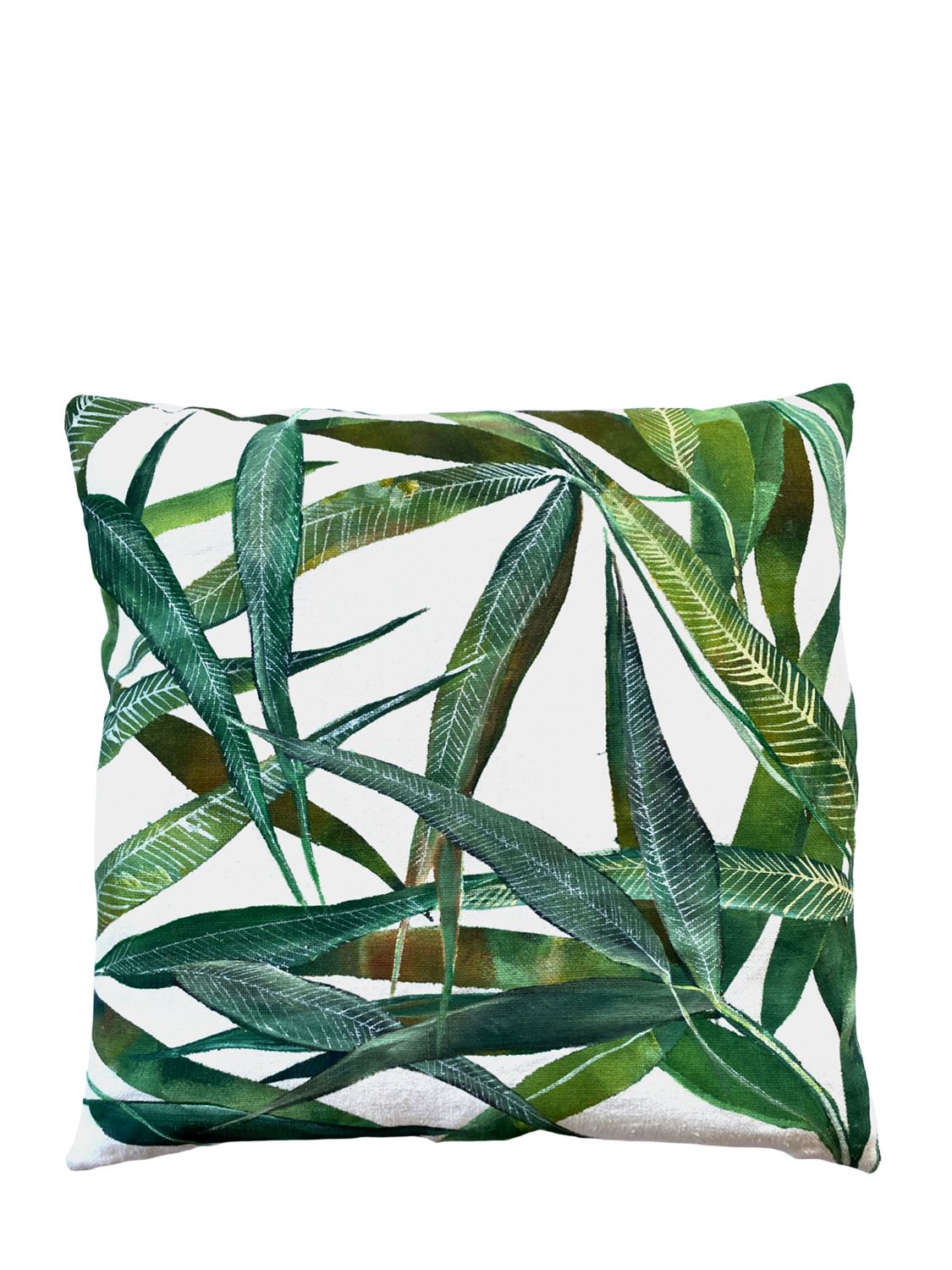 Chiara Grifantini Botany & Dragonfly Cushion In White
