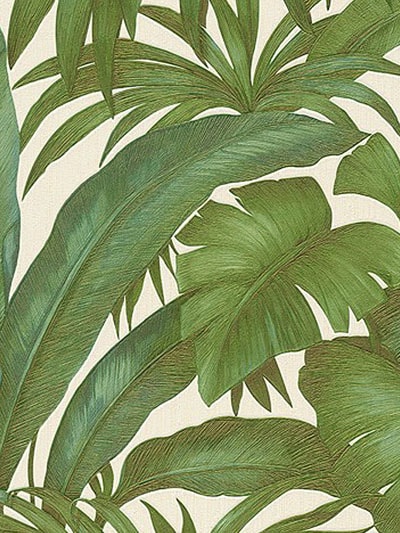 Jungle Printed Wallpaper