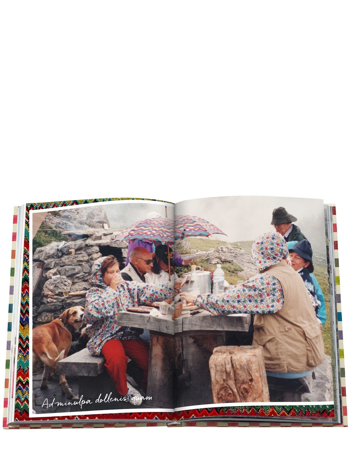 Shop Assouline The Missoni Family Cookbook In Multicolor