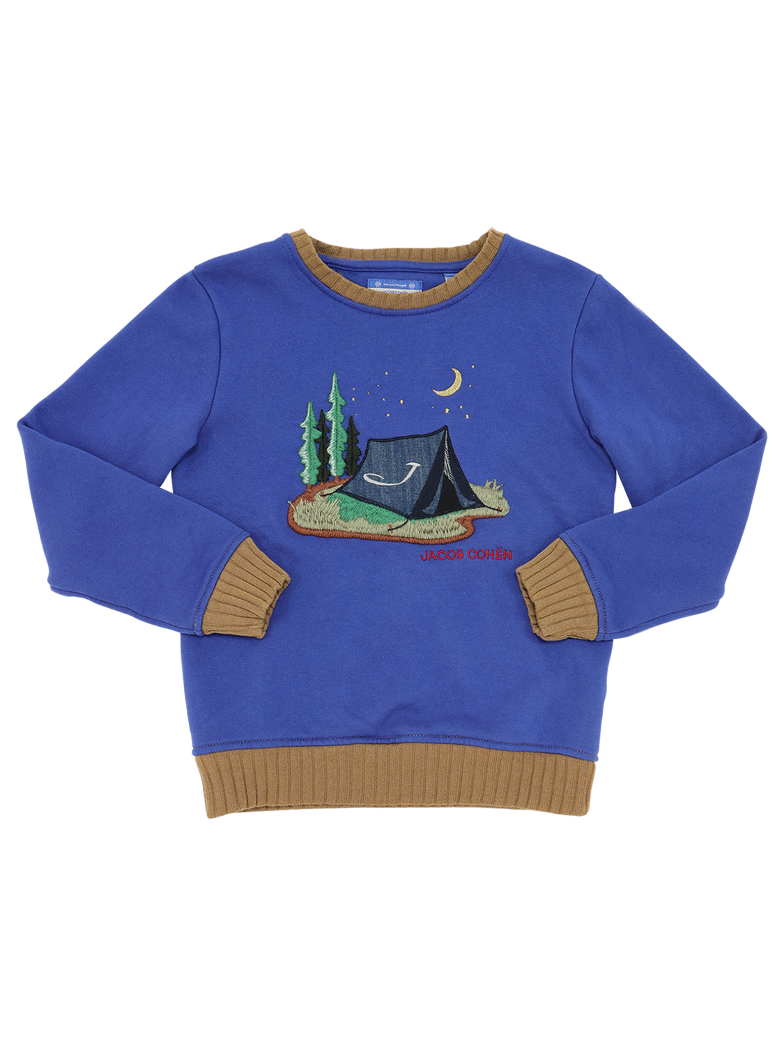 Sweatshirt Aus Baumwolle Mit Stickerei