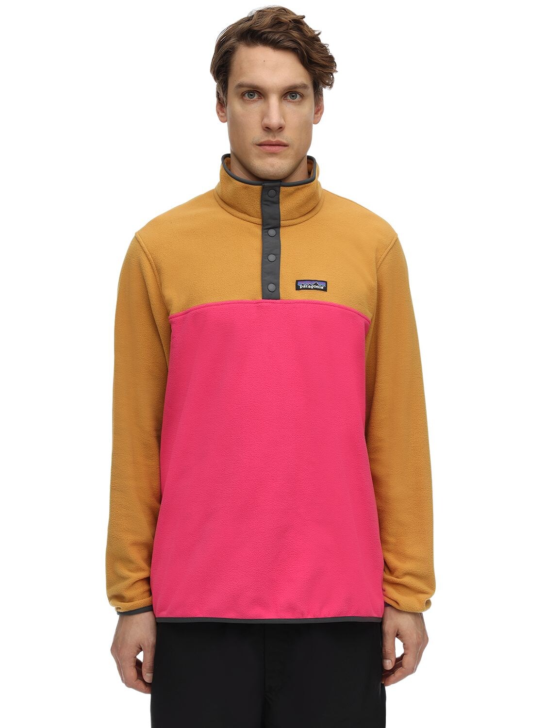 Patagonia Micro D Snap-t Fleece Pullover