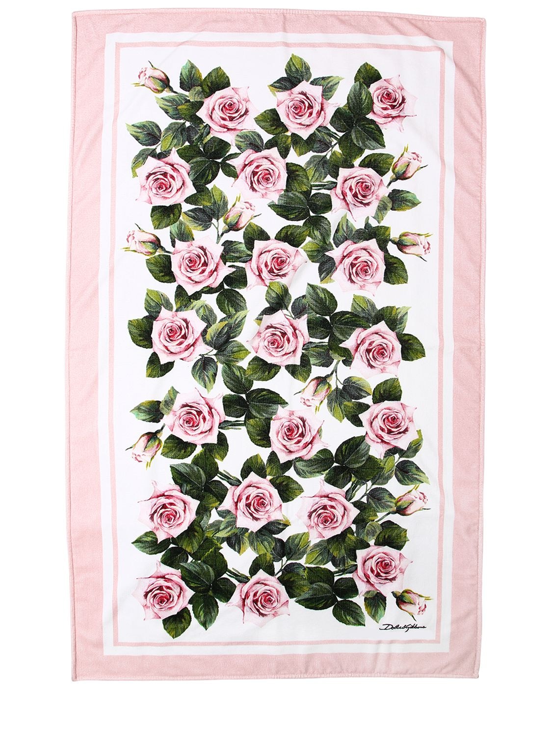 Dolce & Gabbana Rose Printed Cotton Terry Beach Towel In White,pink