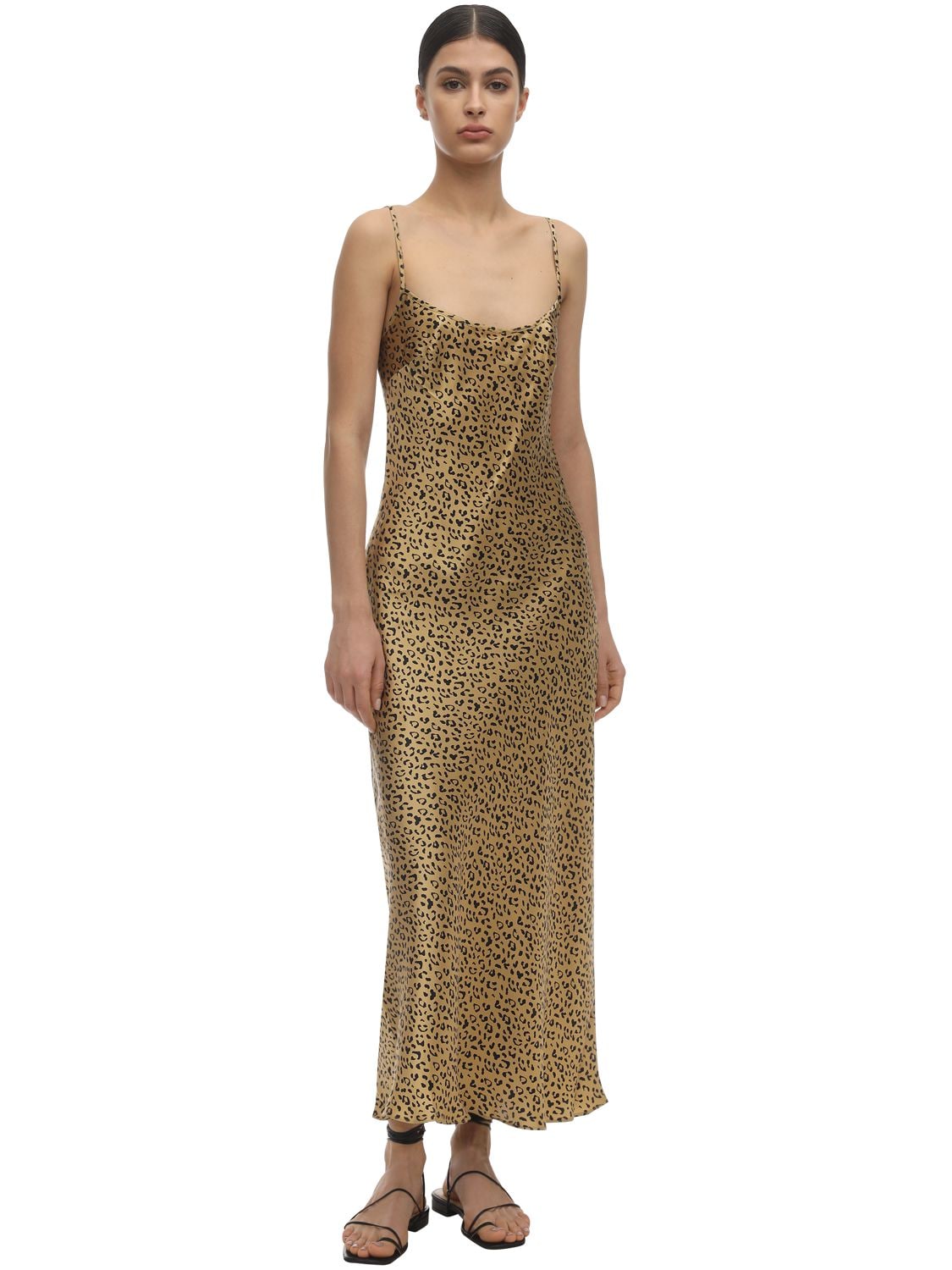 rixo leopard