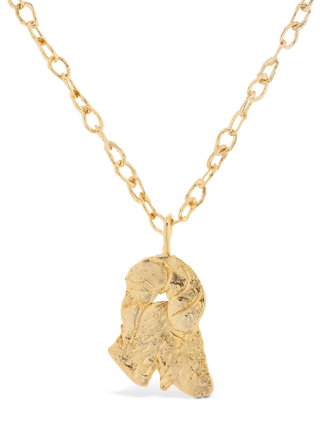 Acheval Pampa Capricorn Charm Long Necklace In Gold