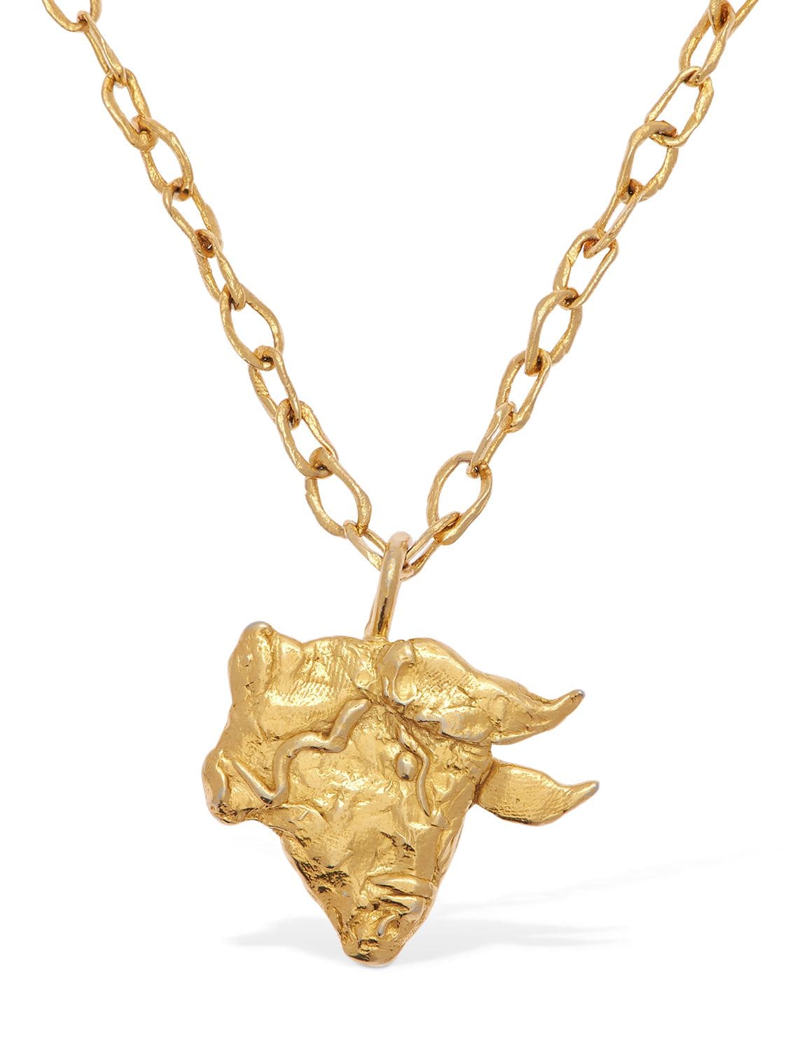 Acheval Pampa Taurus Charm Long Necklace In Gold