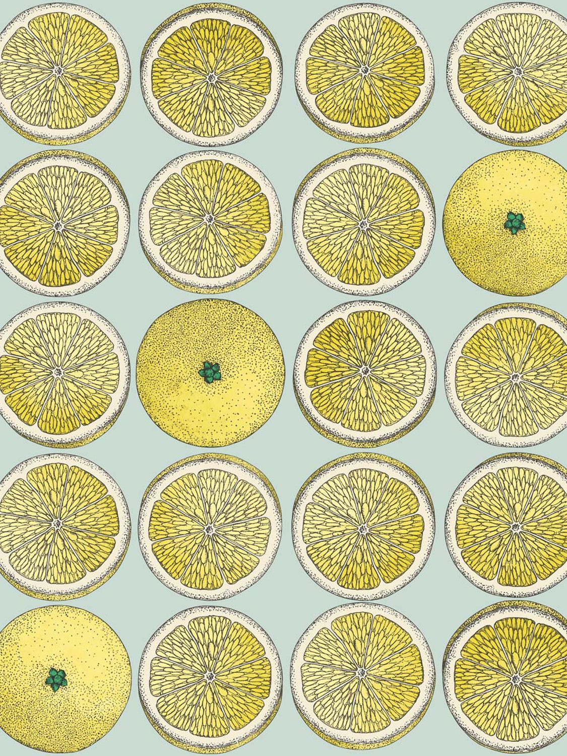 Fornasetti Arance Wallpaper In Yellow