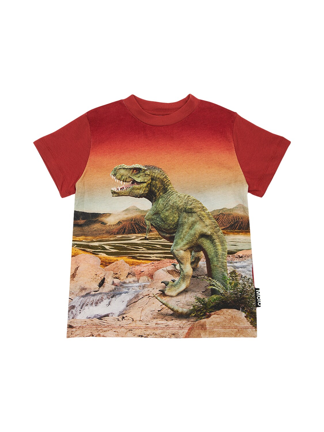 MOLO DINO PRINTED ORGANIC COTTON T-SHIRT,73IODW028-NZQZNA2