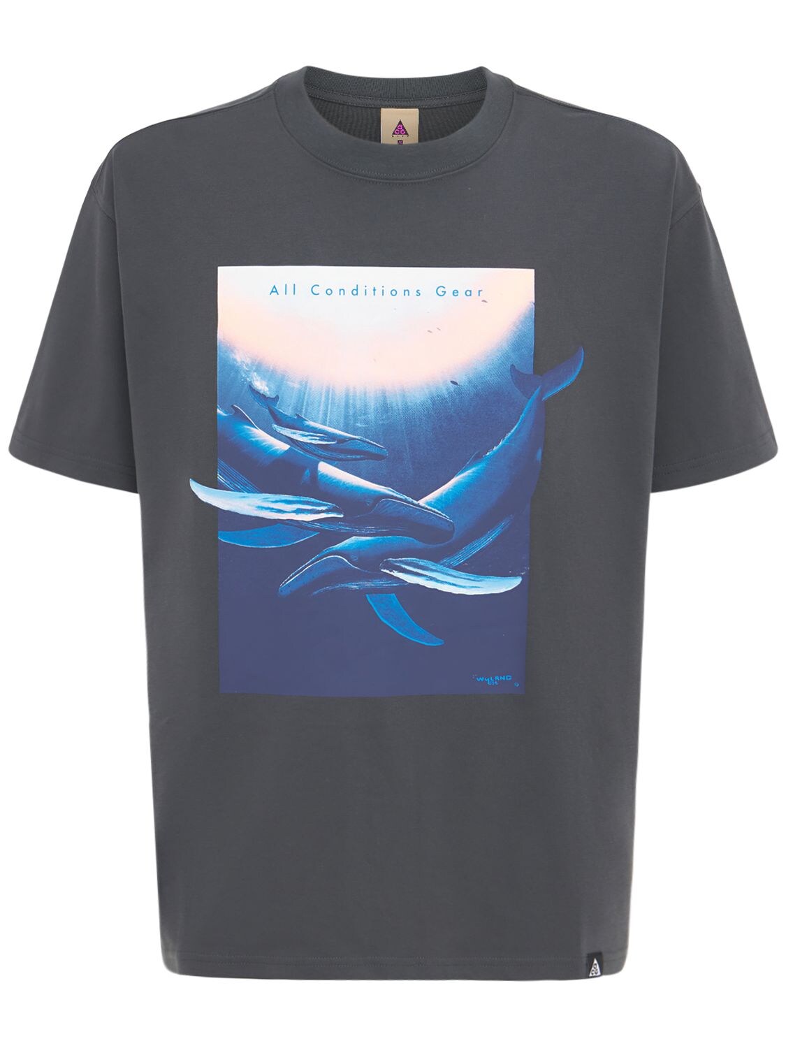 nike acg wyland