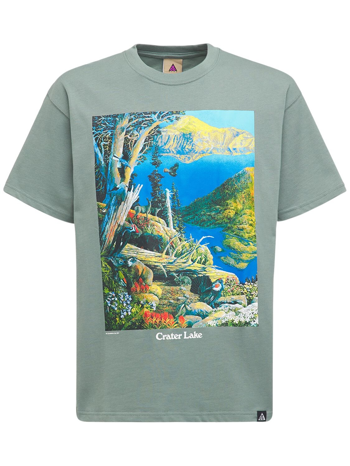 NIKE ACG CRATER LAKE COTTON T-SHIRT,73IXTS007-MZY10
